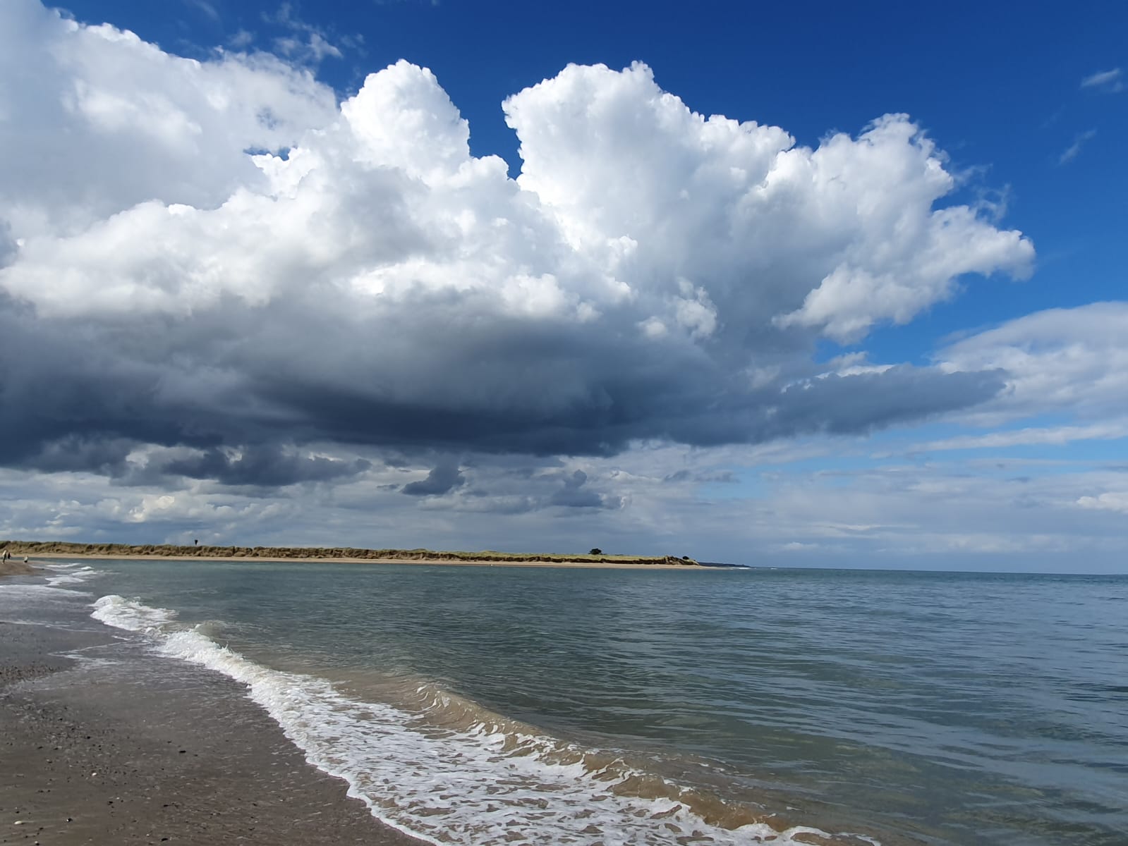 Moby Dick III: Malahide Strandbild